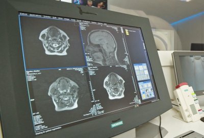 radiologija1_1.1.10